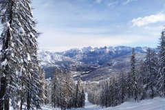 Piste de ski - Bois des coqs